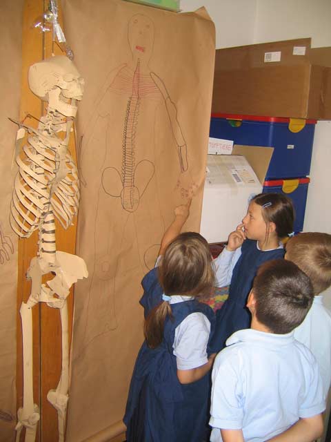 betitelt „Kinder mit Skelett“, zeigt 4 Kinder im Volksschulalter in Schuluniformen, die ein Skelett betrachten, daneben ein braunes Poster mit einem von Kindern gemalten Skelettbild.